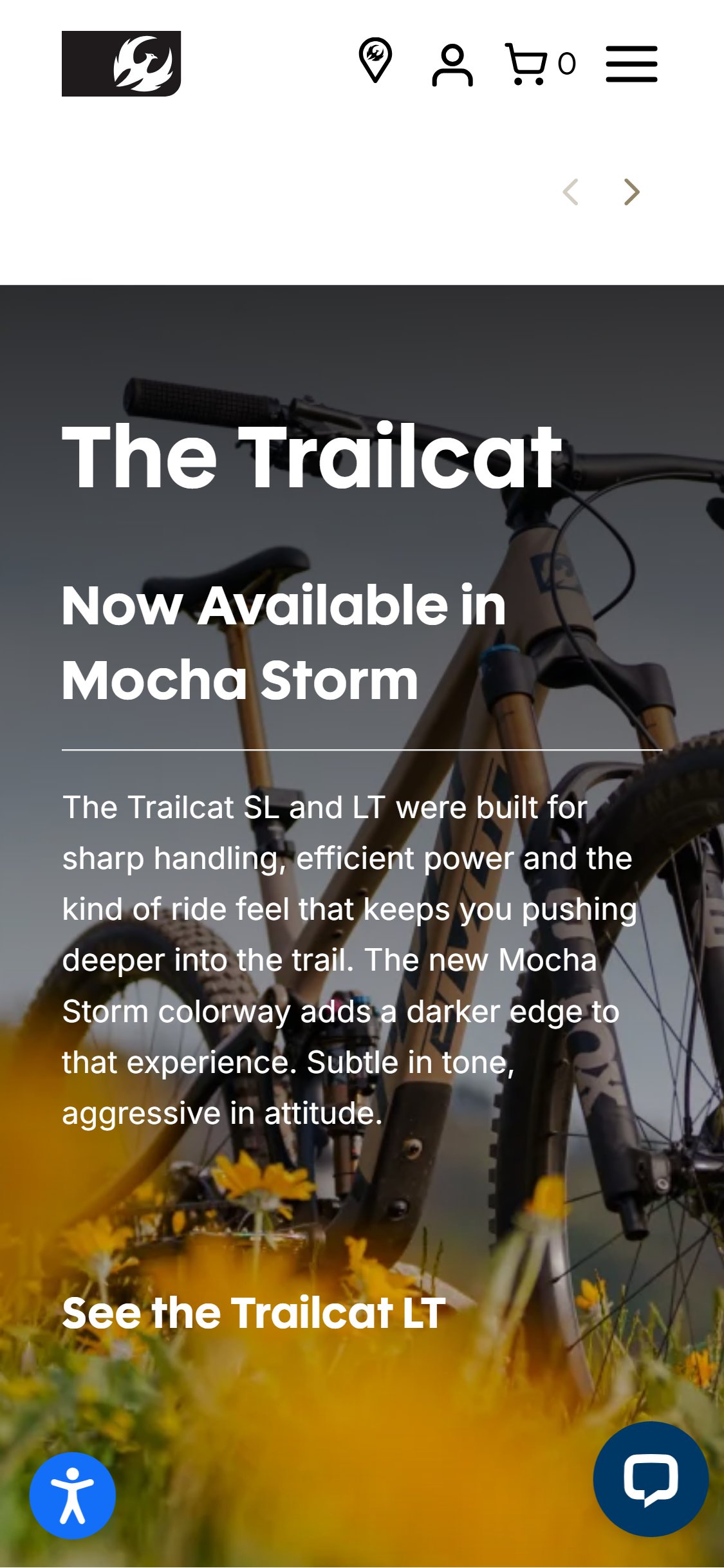 Pivot Cycles — Homepage scroll shows no social proof section